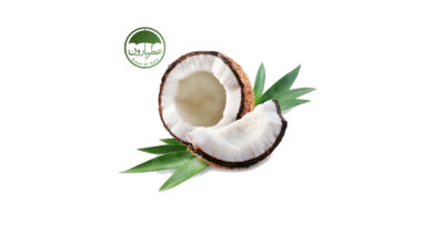 Photo of نت نارگیل (Coconut)