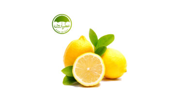 Photo of نت لیمو (Lemon)
