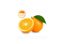 Photo of نت پرتقال (Orange)