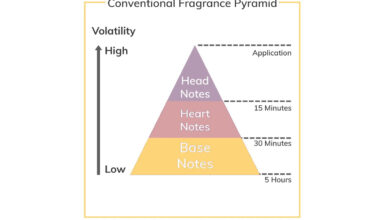 Photo of هرم بویایی (Olfactory pyramid)