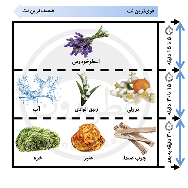 زنانه بورلی هیلز پولو کلاب اسپرت شماره 8