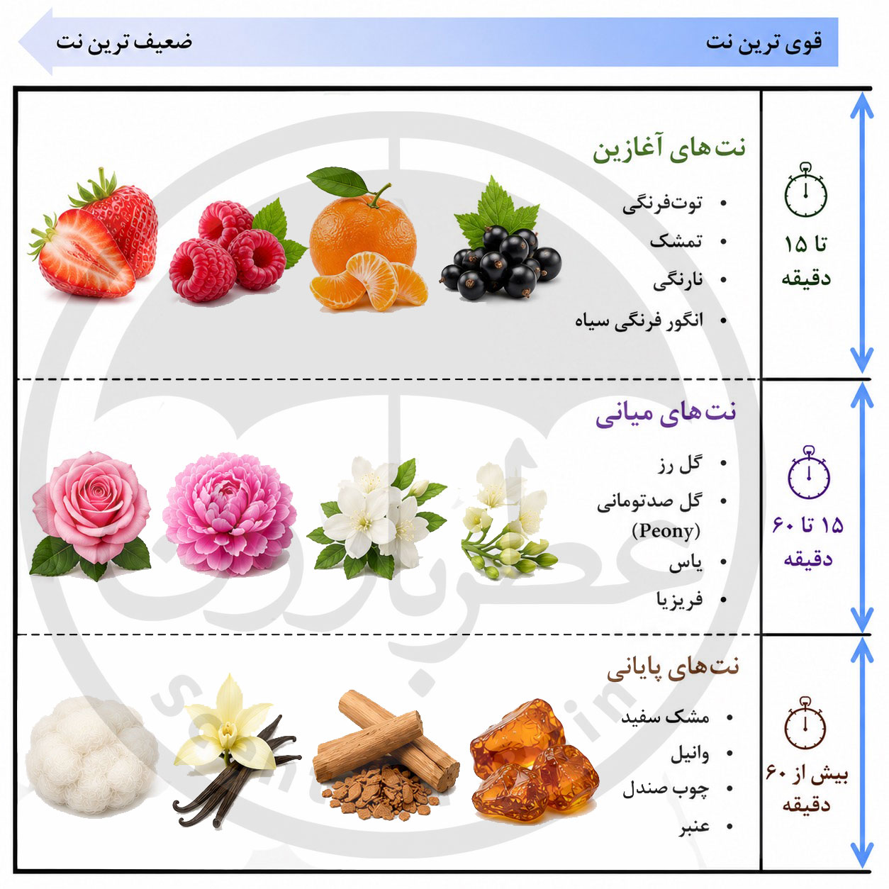 هرم بویایی اسپری زنانه عمادآرا اوربان‌بری حجم 200 میلی‌لیتر
